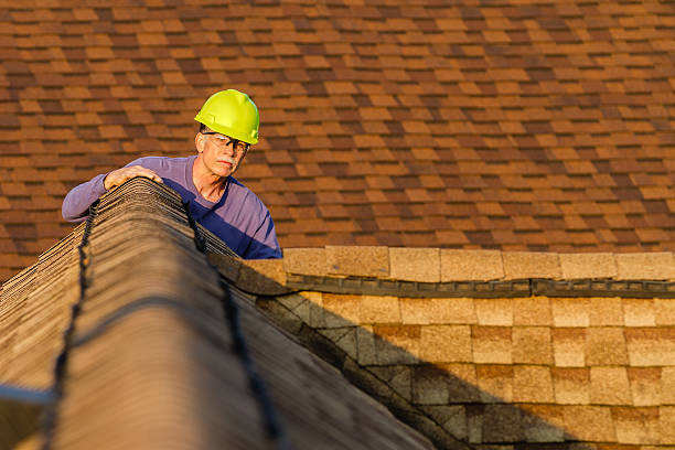 Best Roof Gutter Cleaning  in Pulaski, VA